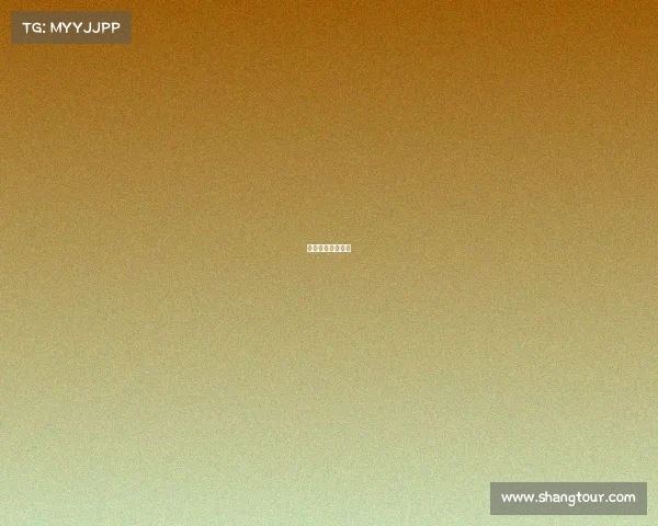 武汉市志愿者活动